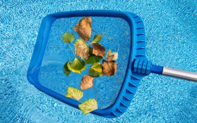 Ranking siatek do wyławiania zanieczyszczeń z basenu 2026